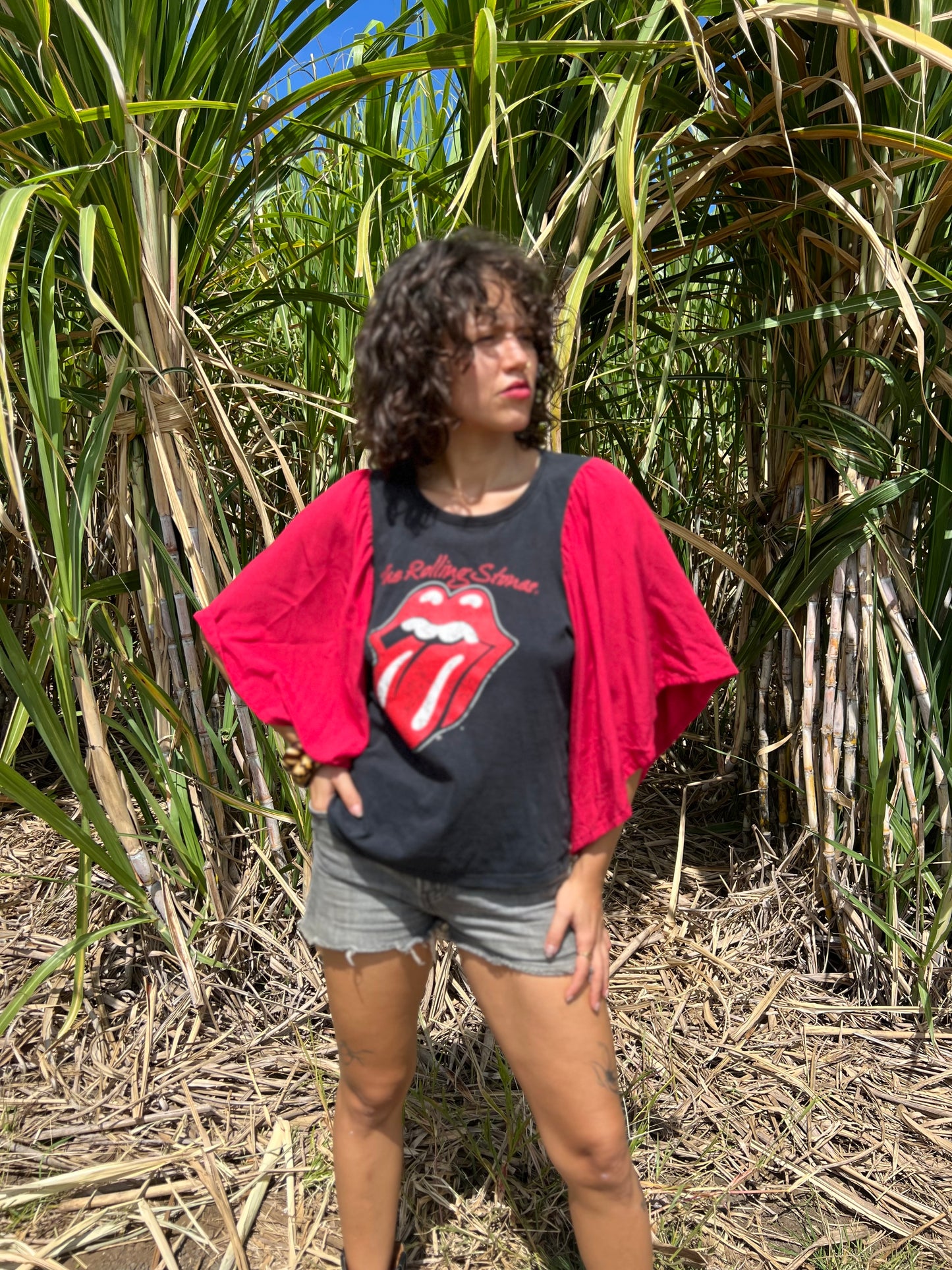 Top  Rolling Stones 🎸❤️🎶