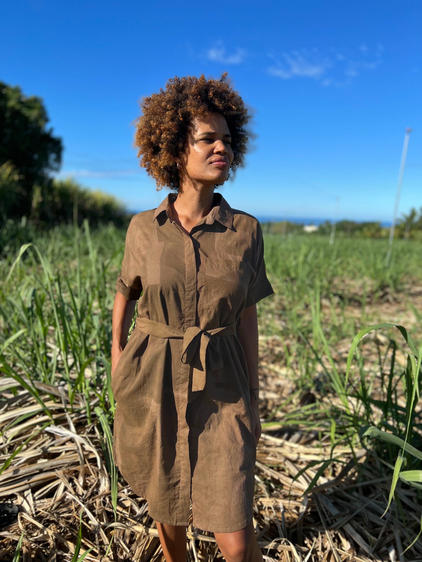 Robe Jacqueline courte Bourbon Pointu